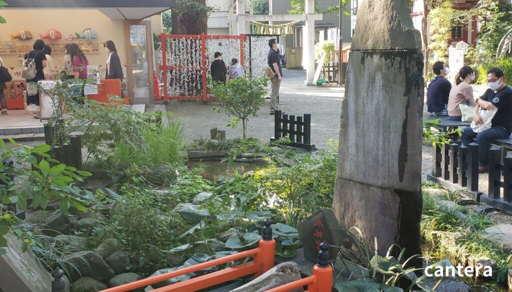 田無神社の境内にある「龍神池」。澄んだ水面には静かな緑が映り込み、赤い柵が池を囲んでいます。小さな一歩を積み重ねることが、やがて大きな流れとなり、自信や未来を切り開いていくことを象徴しています。