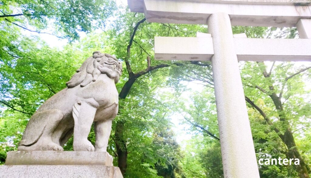 武蔵国総社 大國魂神社。緑のいっぱいの大空へと伸びる鳥居をくぐると“感謝”の気持ちが込み上げる